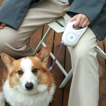 Retractable Leash And Dog Collar with Spotlight Pet Dog/Cat Traction Rope