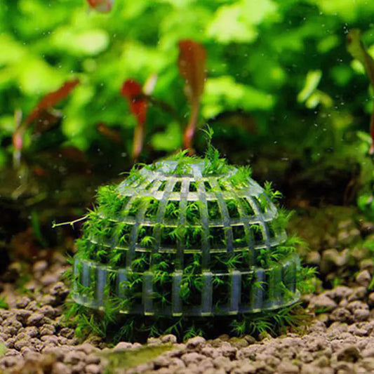 Aquarium Moss Ball Live Plants for Fish Tank Decor