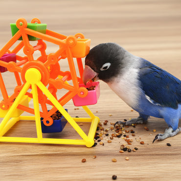 Colorful Parrot Foraging Toy for Intelligence Growth