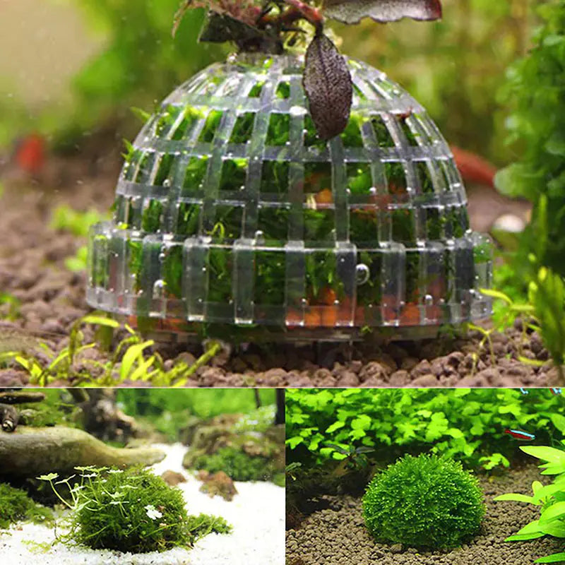 Aquarium Moss Ball Live Plants for Fish Tank Decor