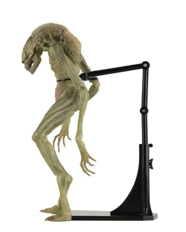 NECA Alien Resurrection 7-Inch Action Figure Model