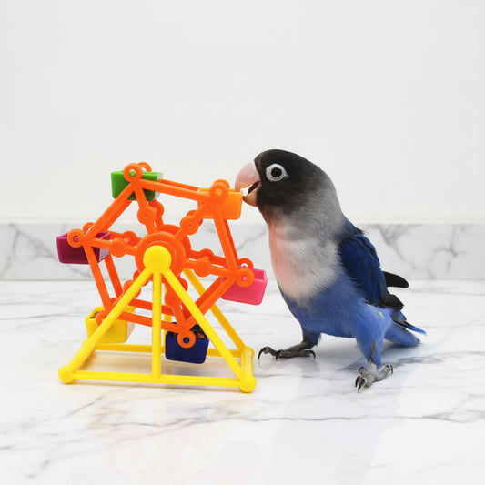 Colorful Parrot Foraging Toy for Intelligence Growth