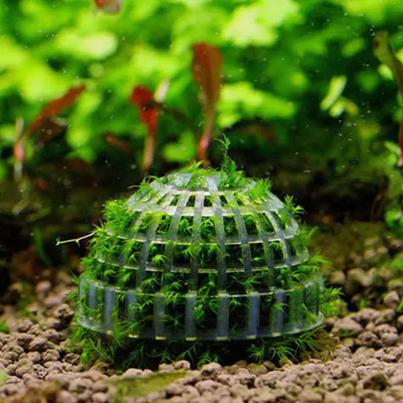 Aquarium Moss Ball Live Plants for Fish Tank Decor